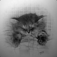 Steam profile picture for @learning