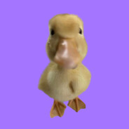 twitch.tv/kewl_official