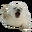 Group Avatar