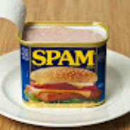spambrgr
