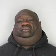 bighomieinsert