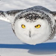 Snowy