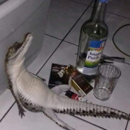 rasslabones