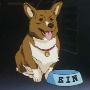 (EIN) Strut perro callejero