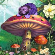 Dreamstock