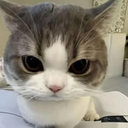 ingdgonc