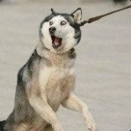 精角大王丶