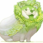 菜狗狗