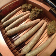 Jerry420