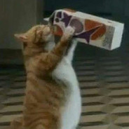 FATTY KİTTY