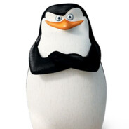 skipper