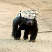 HoneyBadger