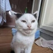леонидынсы казин