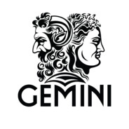 Afshin۸Gemini