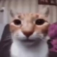 La Papaya's avatar