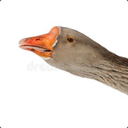 goose