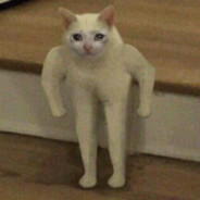 jj