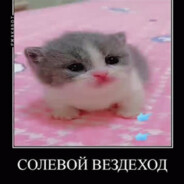 Савыч Гойда
