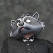 🦝
