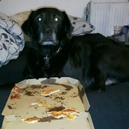 Hugo