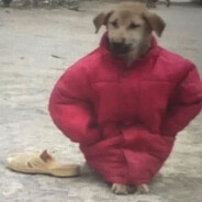 MS