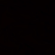 ඞ