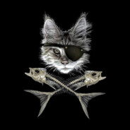 Jacek Of The Cat