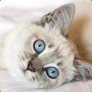 Gatita
