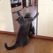 =)