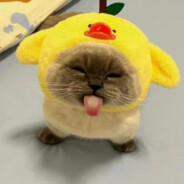 deez_n0tz