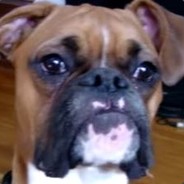Penny