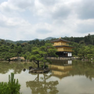 yuyun