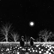 ЕбаниМеняКалитко