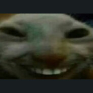 xdd