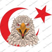 TM Eagle
