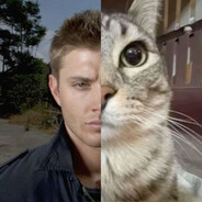 Scicat