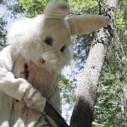 rrrrabbit