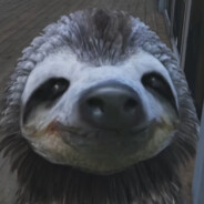 Sloth