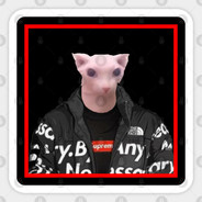 Hujimafda