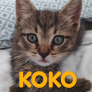 웃♥유☯koko☯웃