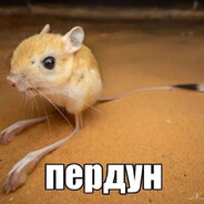 пердун