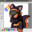 Group Avatar