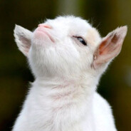cRis
