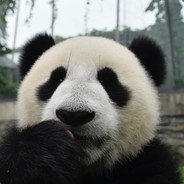 库默默