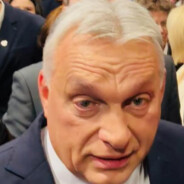 Orbi