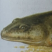 JABA