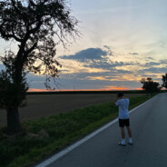 davixek_