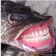 Fishhy