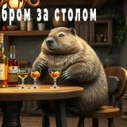bobr