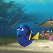 Dory